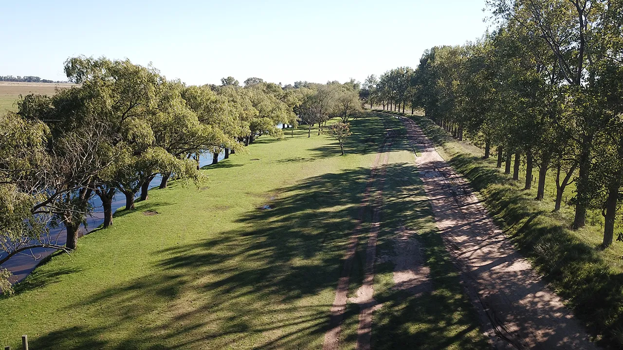 Camino arbolado junto al arroyo Tapalqué, visto desde el aire